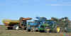 beetcarts.jpg (38598 bytes)