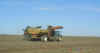 beetdigger2.jpg (25957 bytes)