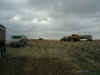 beettrucks.jpg (42479 bytes)
