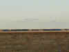bluffs.jpg (31259 bytes)