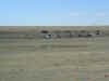 windmill.jpg (37587 bytes)